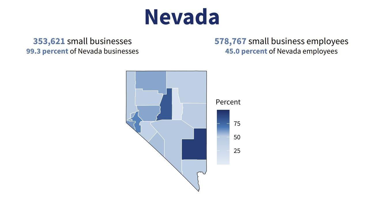 Infographic showing Nevada small business data by county